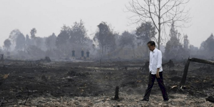 Presiden Joko Widodo ketika meninjau penanganan kebakaran hutan dan lahan di Desa Merbau, Kecamatan Bunut, Pelalawan, Riau pada 17 September 2019/Net
