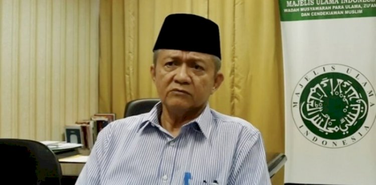 Wakil Ketua Umum MUI Anwar Abbas/Net