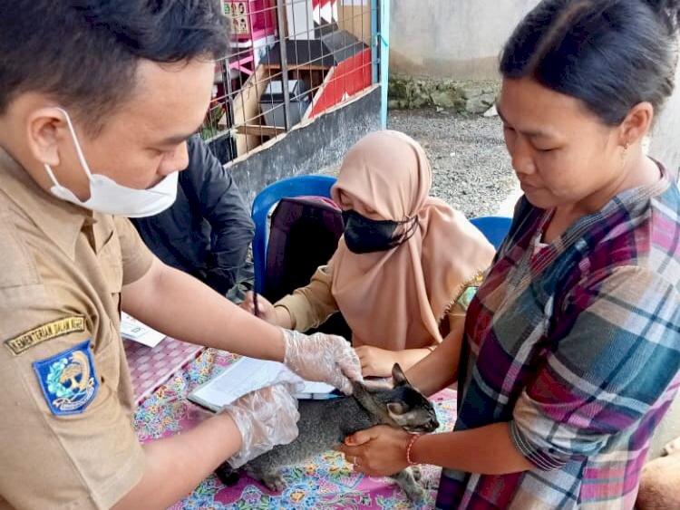 Tim Disperkan saat menyuntik vaksin anti rabies di Kabupaten Lebong/RMOLBengkulu