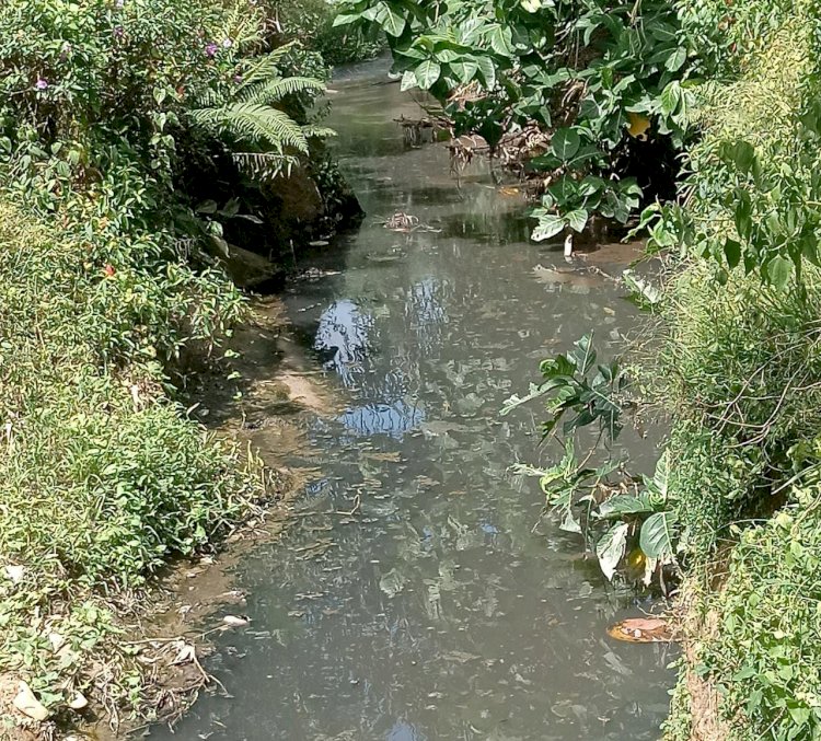 Air sungai di Desa Beriang Tinggi berubah warna dan sering mengeluarkan bau tidak sedap.