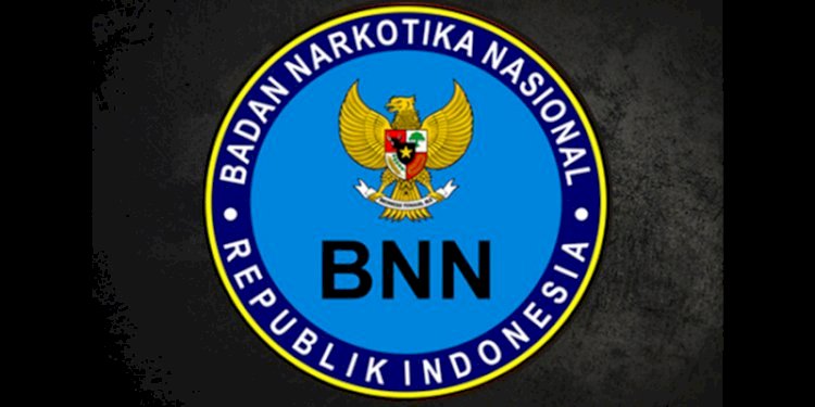 Logo BNN/Net