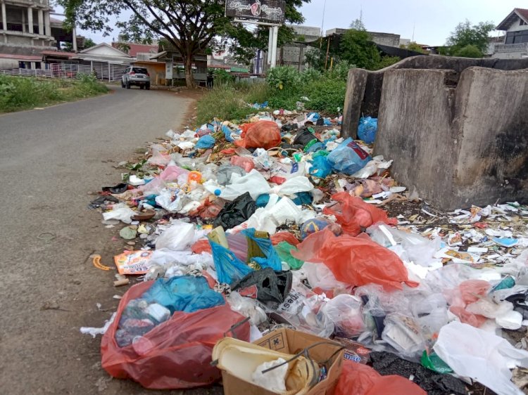 Nampak Sampah Berserakan Di Salah Satu Tempat Pembuangan/RMOLBengkulu