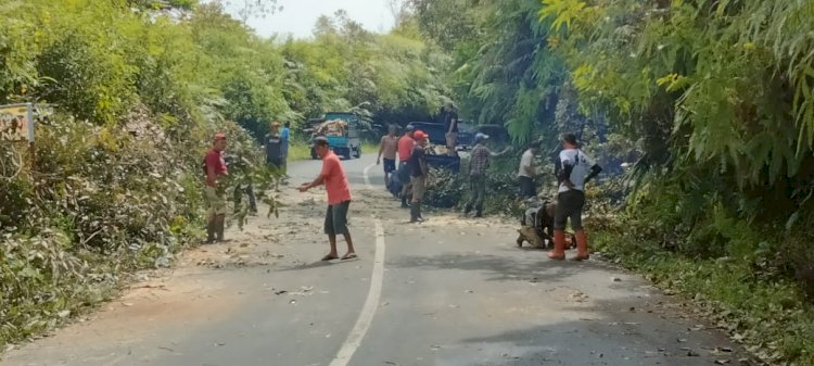 Tampak warga berjibaku membersihkan sisa potongan pohon tumbang di ruas jalan provinsi, tepatnya jalur lintas Curup-Lebong/RMOLBengkulu