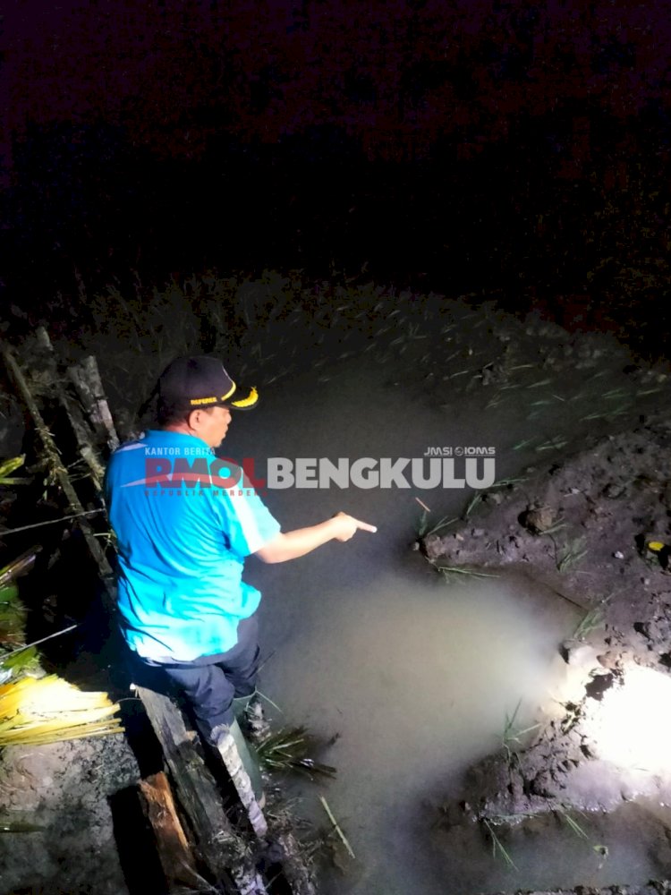 Ketua DPRD Lebong, Carles Ronsen saat meninjau lokasi banjir di Desa Embong Uram/RMOLBengkulu