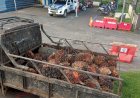 Curi TBS di Lokasi PT Bio Nusantara, Lima Warga Diamankan