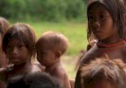 Krisis Kesehatan, Ratusan Anak Suku Adat Yanomami Meninggal Karena Kekurangan Gizi