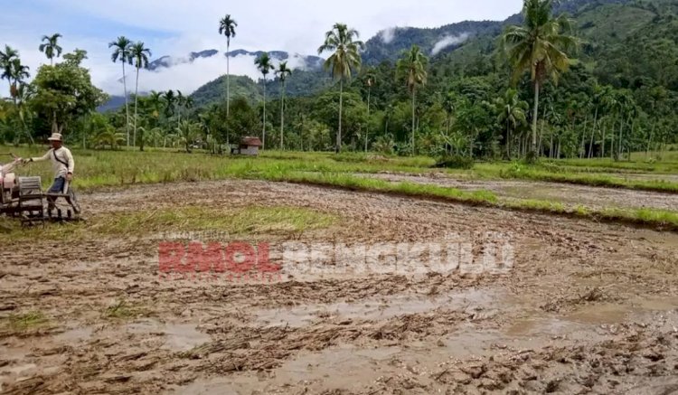 Tampak warga mulai pengelolaan lahan di Desa Magelang Baru/RMOLBengkulu