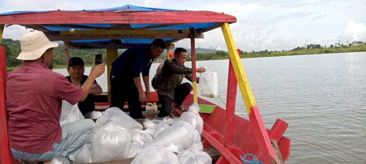 Kepala Disperkan Lebong, Hedi Parindo saat melepas benih ikan nilem di Danau Tes/RMOLBengkulu