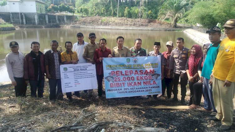 Desa Penum Laksanakan Amanah DD untuk ketahanan Pangan dengan Budidaya 25 ribu Ikan Nila