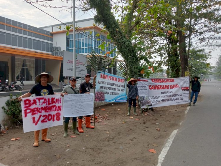 Aliansi Petani Kelapa Sawit (APKS) Provinsi Bengkulu menggelar aksi protes di salah satu hotel di Kota Bengkulu, tempat pelaksanaan Penetapan Harga TBS Sawit, pada Selasa (18/7)/Ist