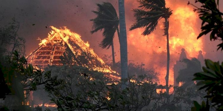 Bencana kebakaran hutan di Hawaii/ist