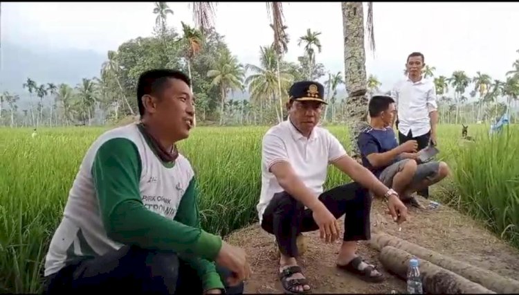 Bupati Lebong, Kopli Ansori saat berdialog dengan PAN warga Talang Liak 2 Kecamatan Bingin Kuning di areal persawahan yang mengikuti MT2/RMOLBengkulu