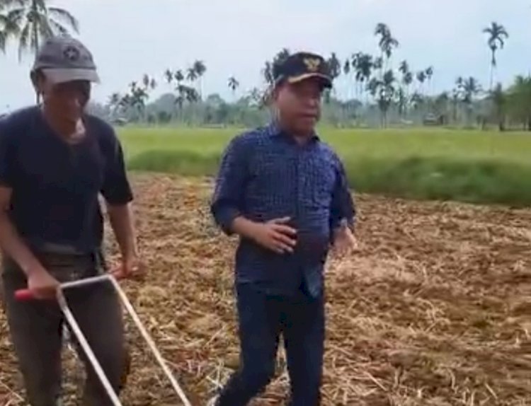 Bupati Lebong, Kopli Ansori bersama petani di Desa Tangua mendorong petani tetap produktif di setiap musim/RMOLBengkulu
